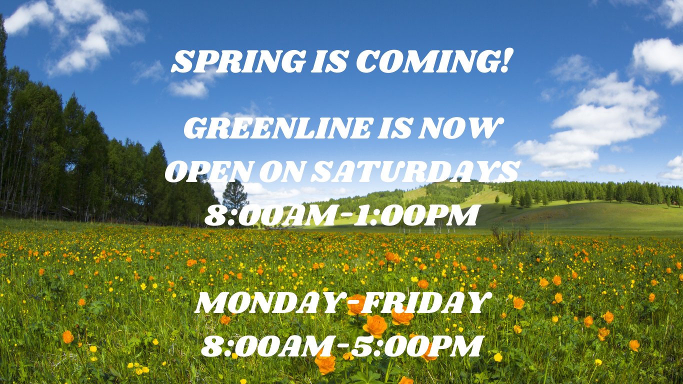 SPRING HOURS